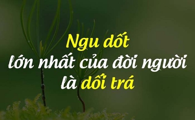 cuoc song gia tao