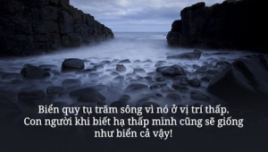 Tại sao sau nhiều năm đi làm, tích luỹ được nhiều kinh nghiệm, người có năng lực sẽ ngày càng ít nói hơn?