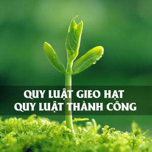 Vạn sự đều có cái giá của nó, đó là quy luật nhân quả