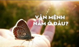 Thói quen quyết định vận mệnh