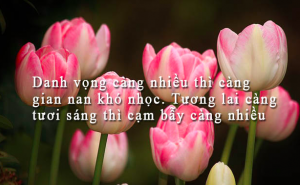 Cạm bẫy từng bước hủy hoại tương lai