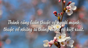 Dấu hiệu của những người chắc chắn rất thông minh