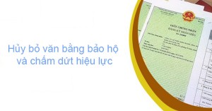 Ý kiến của bên thứ ba về việc cấp văn bằng bảo hộ