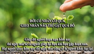 Cuộc đời đừng so đo thiệt hơn, người có TÂM ắt có TẦM!