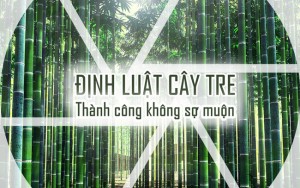 Định luật "cây tre" đơn giản mà 90% số đông không làm được: 10 năm "giấu tài" vì 1 phút phát huy