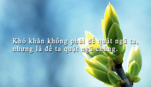 Loại người không bao giờ ngóc đầu lên nổi