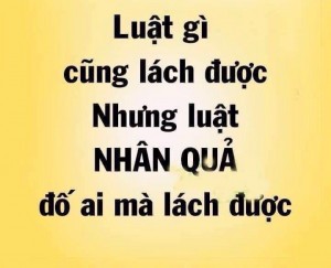 Luật nhân quả