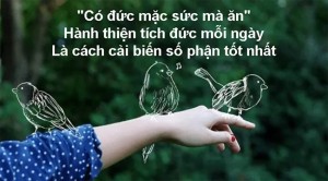 Dựa vào núi, ắt núi lở, chỉ có dựa vào bản thân mới nắm giữ vận mệnh