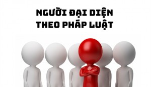 Người đại diện theo pháp luật