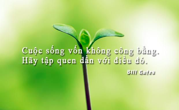 Cuộc sống tàn khốc khó ngờ, chưa đủ giỏi thì quen ai cũng vô dụng