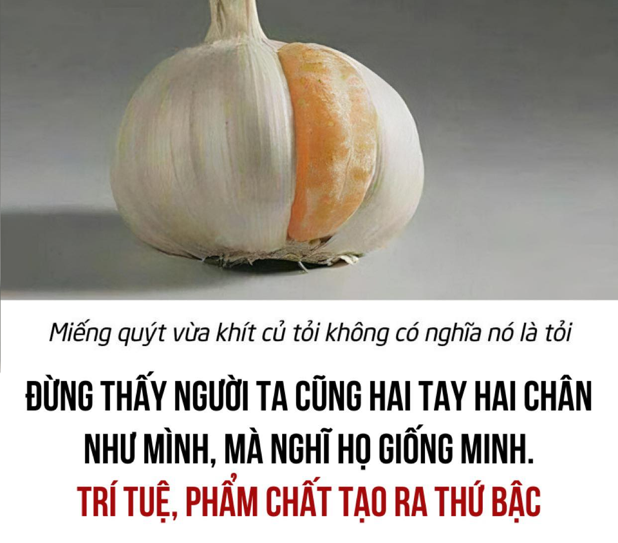 Kiến thức không bồi đắp, kỹ năng không rèn luyện, bạn sẽ chẳng thể “ứng phó” với cuộc đời