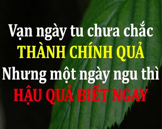 Hành động để thay đổi số phận